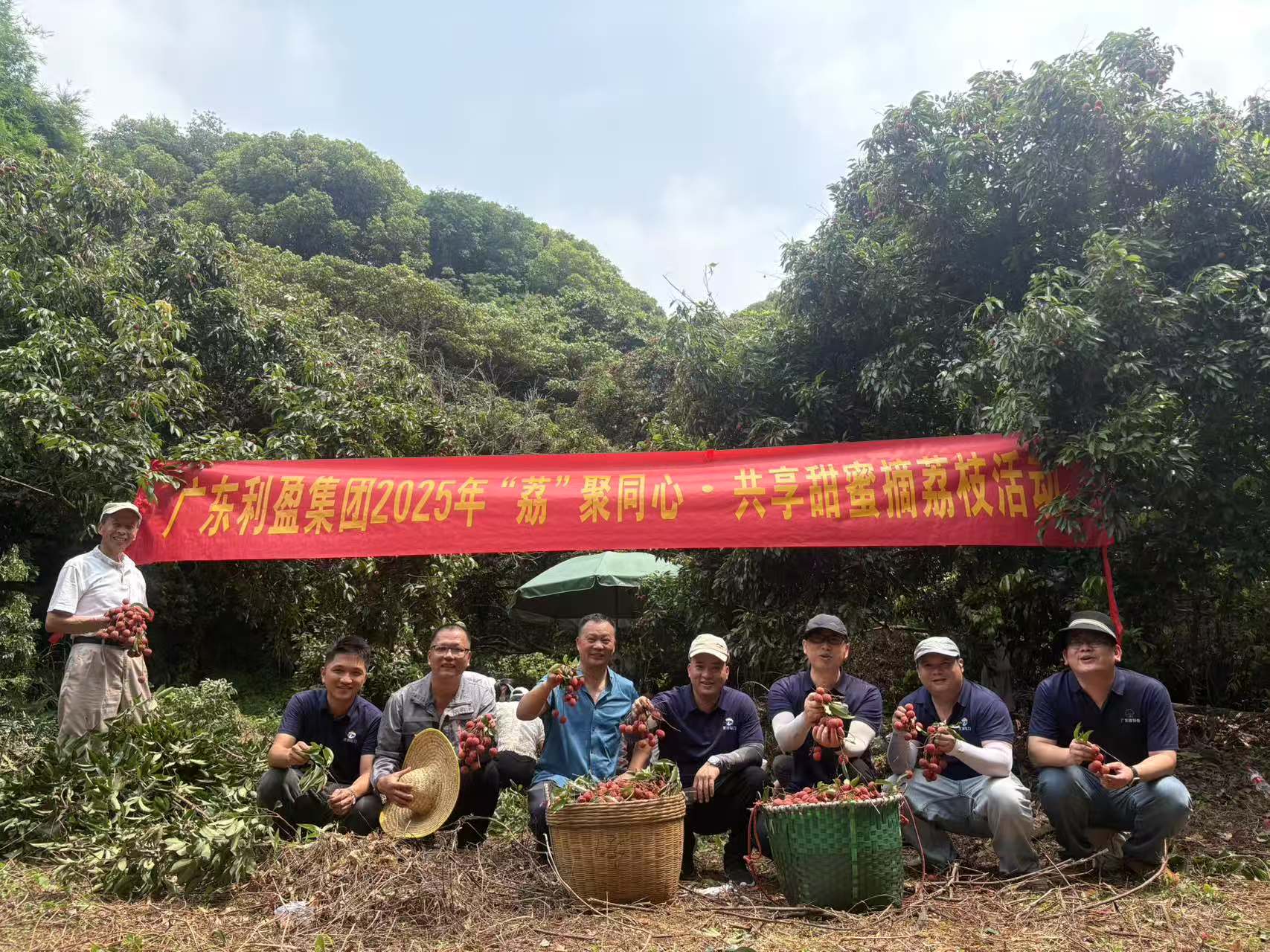 广东利盈集团 2025 年“荔”聚同心·共享甜蜜摘荔枝活动